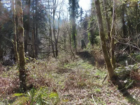 Kalama River Rd, Kalama, WA 98625
