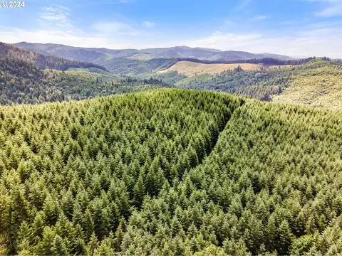 N Bear Creek Rd, Curtin, OR 97424