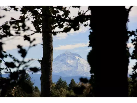 41057 SE Vista Loop Dr, Sandy, OR 97055 photo 3