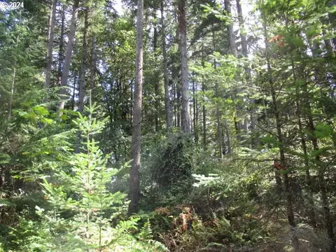 000 Bellinger Scale Rd, Lebanon, OR 97355