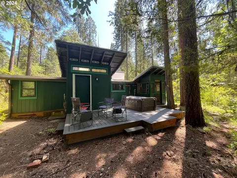 55359 Delta Rd, Blue River, OR 97413