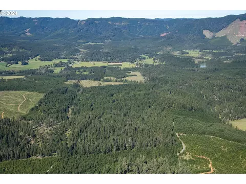 0 Dancer Rd, Camas Valley, OR 97416