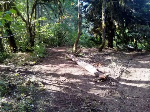 501 Carpenter Bypass Rd, Lorane, OR 97451 photo 5