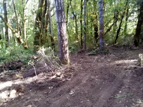 501 Carpenter Bypass Rd, Lorane, OR 97451 photo 7