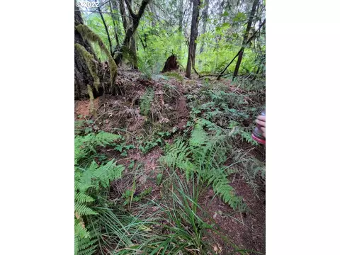 501 Carpenter Bypass Rd, Lorane, OR 97451 photo 16