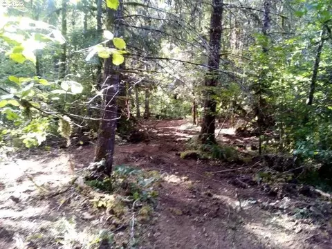 501 Carpenter Bypass Rd, Lorane, OR 97451 photo 8