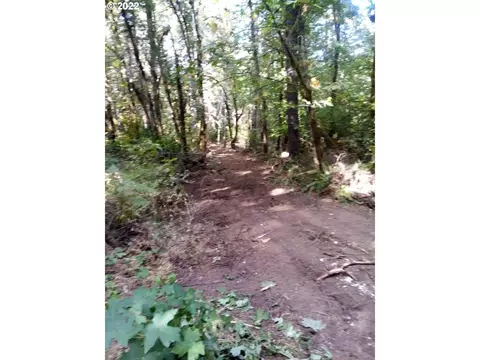 501 Carpenter Bypass Rd, Lorane, OR 97451 photo 9