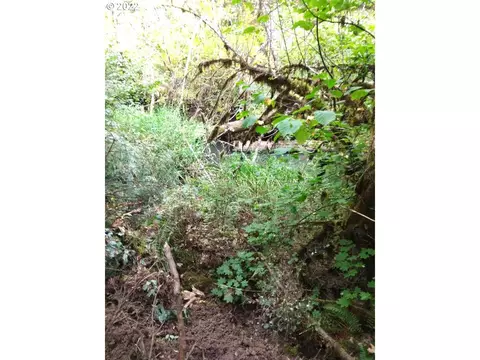 501 Carpenter Bypass Rd, Lorane, OR 97451 photo 13