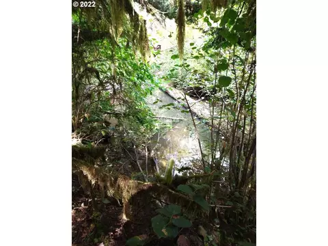 501 Carpenter Bypass Rd, Lorane, OR 97451 photo 3