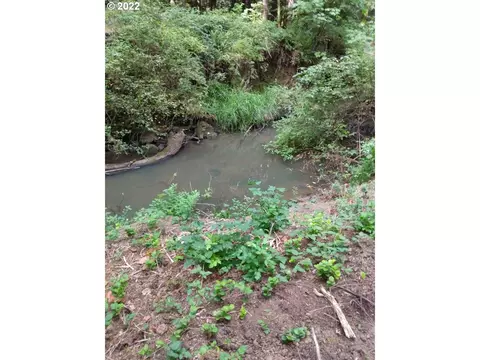 501 Carpenter Bypass Rd, Lorane, OR 97451 photo 2