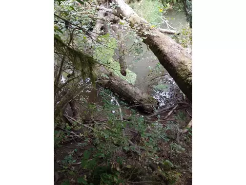 501 Carpenter Bypass Rd, Lorane, OR 97451 photo 14