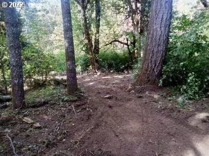 501 Carpenter Bypass Rd, Lorane, OR 97451 photo 4