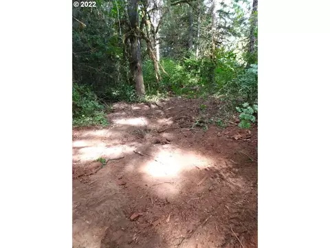 501 Carpenter Bypass Rd, Lorane, OR 97451 photo 11