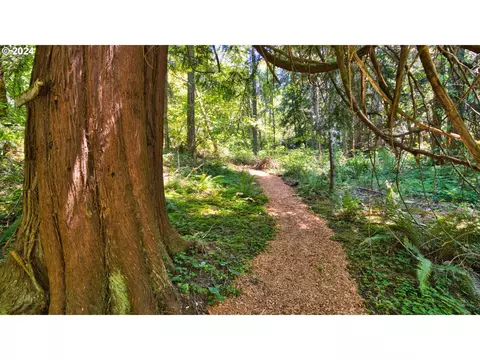 NE Schauer Dr, Battle Ground, WA 98604