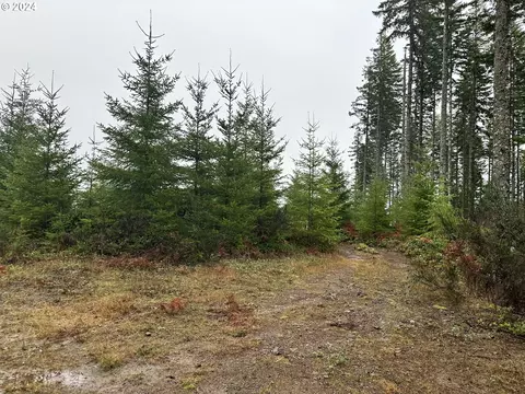 0 NW Greener Rd, Scappoose, OR 97056