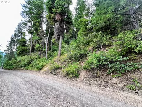 Lake Shore Dr, Wallowa Lake, OR 97846