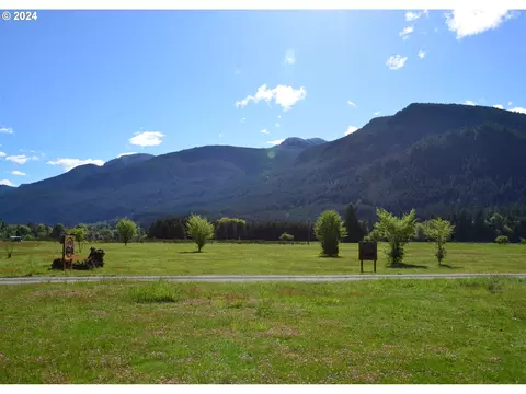 163 Lone Tree, Randle, WA 98377