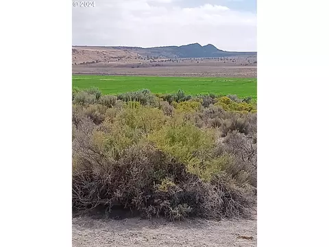 Old Lake Rd, Christmas Valley, OR 97641