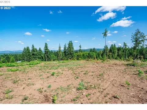 0 S Silver Lake Rd #6, Castle Rock, WA 98611