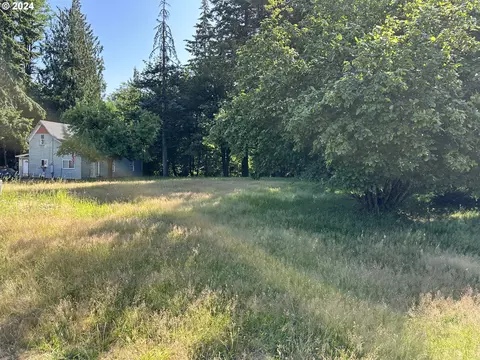 Shannon Lewis Ln, Winlock, WA 98596