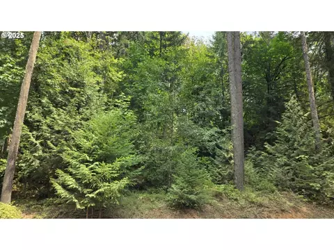NW Ranch Dr, Banks, OR 97106