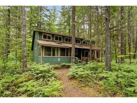 Cabin 101 Northwoods, Cougar, WA 98616