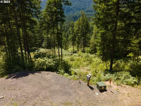 Boulder Ridge, Carson, WA 98610 photo 4