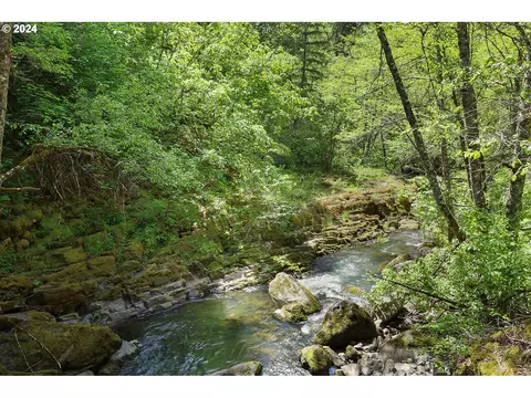 Rattlesnake Rd, White Salmon, WA 98672