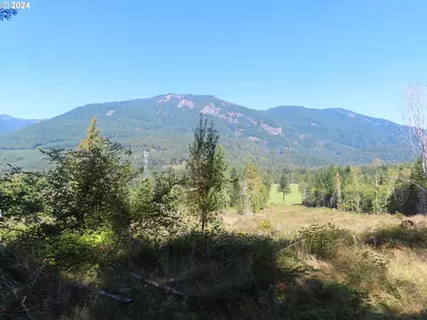 bennett rd, Randle, WA 98377