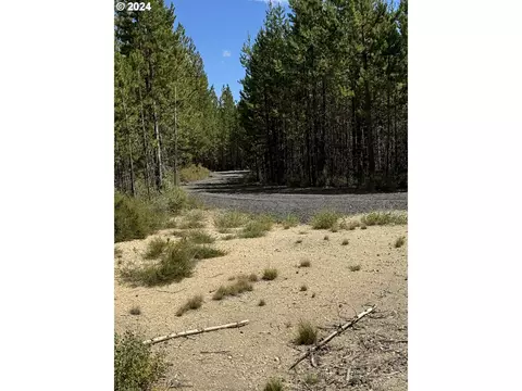 Bunny Butte, Crescent Lake, OR 97733