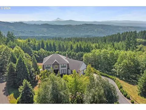 30515 NE Livingston Mountain Cir, Camas, WA 98607
