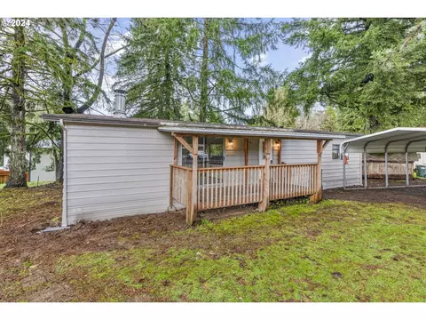 107 Spring Ct, Vader, WA 98593