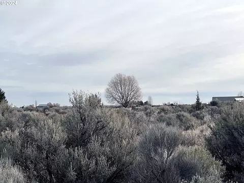 buckskin rd, Christmas Valley, OR 97641