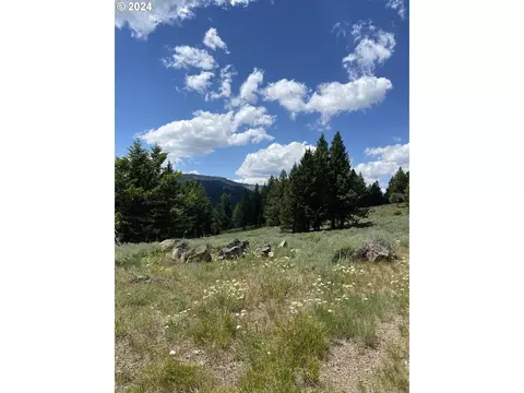 0 Elk Creek Rd, Baker City, OR 97814