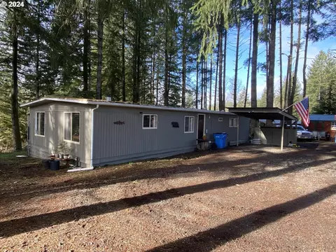 20307 NE Cedar Creek Rd, Amboy, WA 98601