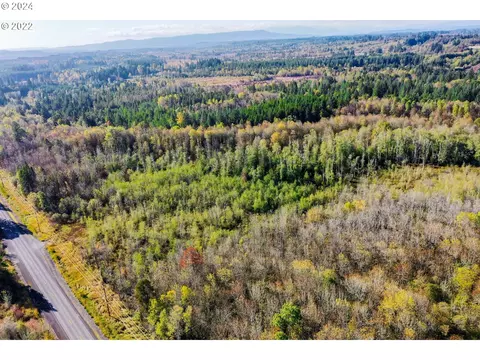 0 Henriot Rd, Winlock, WA 98596 photo 3