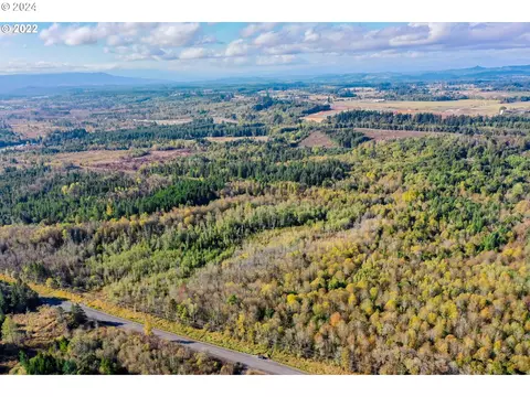 0 Henriot Rd, Winlock, WA 98596 photo 2