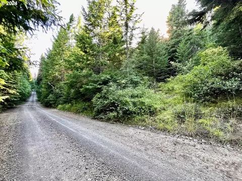 Lake Shore Dr, Wallowa Lake, OR 97846