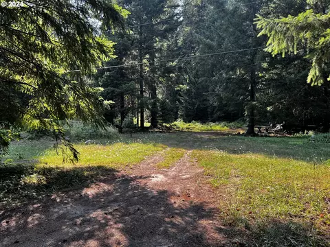 North Bank Rd, Mckenzie Bridge, OR 97413