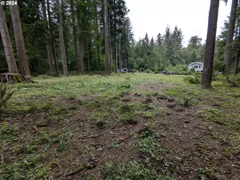 21054 E Country Club Rd, Brightwood, OR 97011