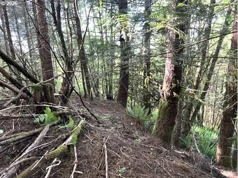 West Tunnel, Banks, OR 97106