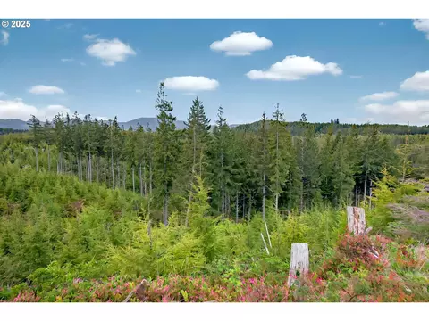 4 Parpala Rd #4, Naselle, WA 98638