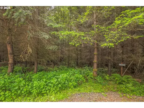 grand rdg rd LOT 16, Toutle, WA 98649