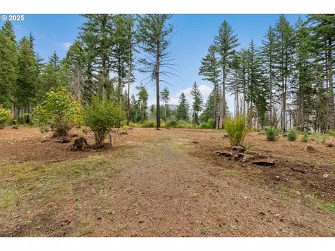 51209 Blue River Dr, Vida, OR 97488 photo 7