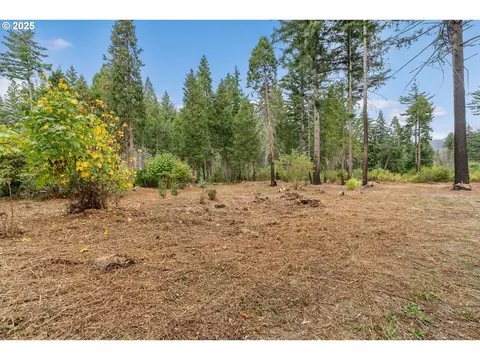 51209 Blue River Dr, Vida, OR 97488 photo 11