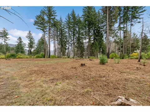 51209 Blue River Dr, Vida, OR 97488 photo 10