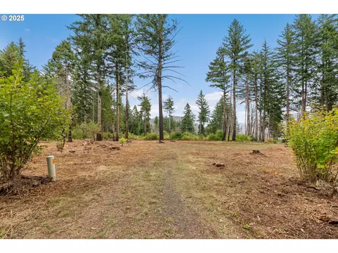 51209 Blue River Dr, Vida, OR 97488 photo 8