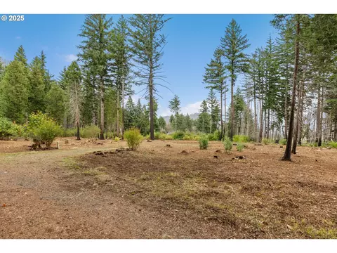 51209 Blue River Dr, Vida, OR 97488 photo 6