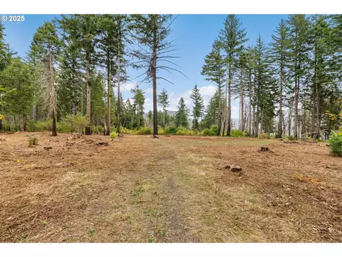 51209 Blue River Dr, Vida, OR 97488 photo 9