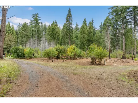 51209 Blue River Dr, Vida, OR 97488 photo 12